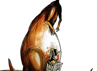 darko drljevic montenegro 125