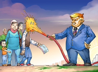cartoon section428