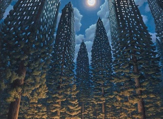 robgonsalves8