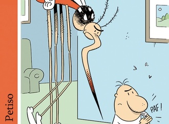 diego pares7