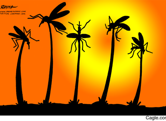 Gallery of Cartoons by Rayma Suprani From Venezuela