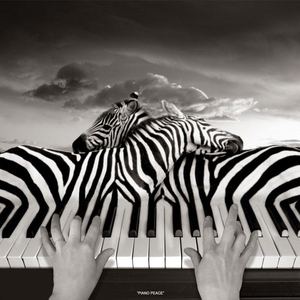 Gallery of  PhotoMontages by Thomas Barbey - Switzerland