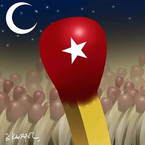  RESULTS OF THE INTERNATIONAL CARTOON EXHIBITION"OCCUPY GEZIPARK!"/TURKEY-2013