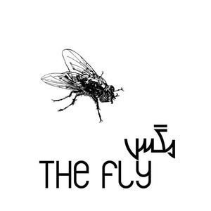 the best animation/the fly/Oscar winning animations/1981