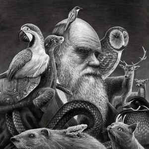 Gallery of Drawings By Borge Bredenbekk - Norway