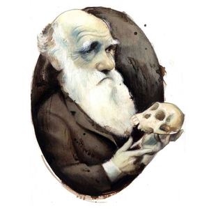 Gallery of caricature by Fernando Vicente - Spain