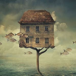 Gallery of photo humor by Nikolina Petolas - Croatia