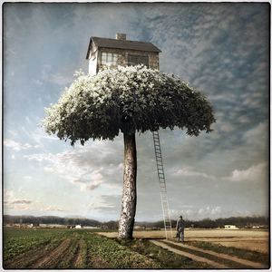 Gallery of Photo montages by dariusz klimczak - Poland 